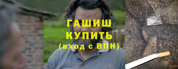 индика Вязьма